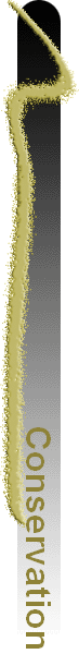 Conservation