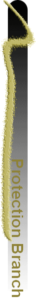 Protection Branch